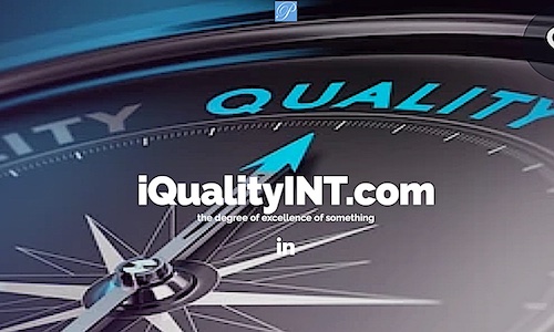 SNS INT Consulting QUALITY   WEB 500x300 right