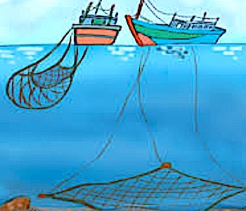 WEB Nature Ocean Fishing  right 01 1250x150 copy